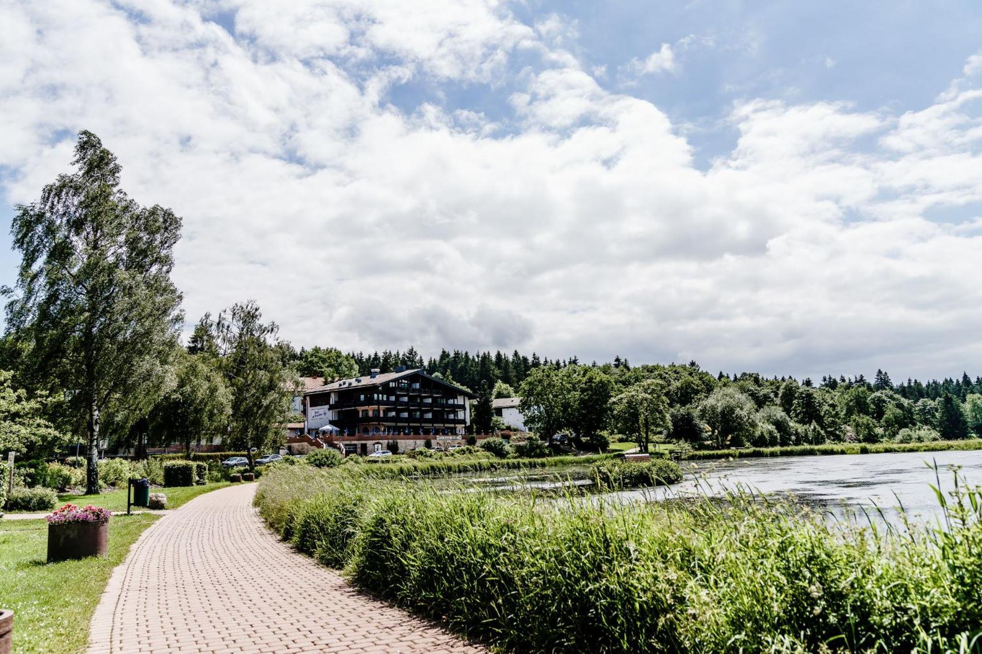 Haus Am See Luxury Hs 226 B Goslar Exteriör bild